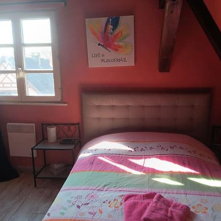 Gite Les Papillons Ribeauville  Exterior photo